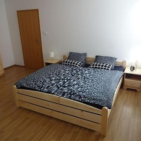 Luxusni Apartman V Centru Boziho Daru Boží Dar 外观 照片