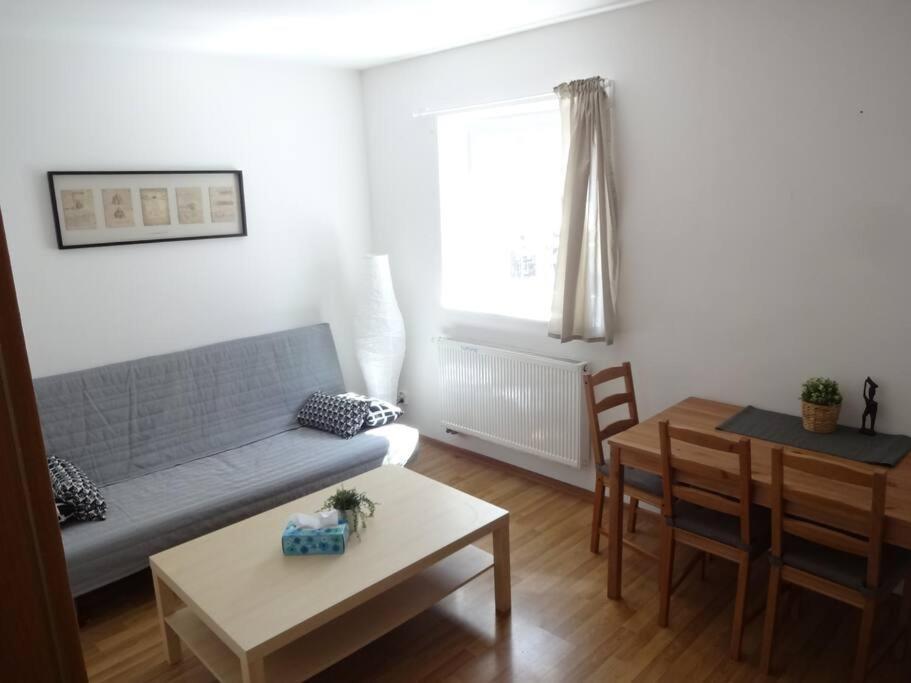 Luxusni Apartman V Centru Boziho Daru Boží Dar 外观 照片