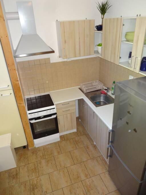 Luxusni Apartman V Centru Boziho Daru Boží Dar 外观 照片